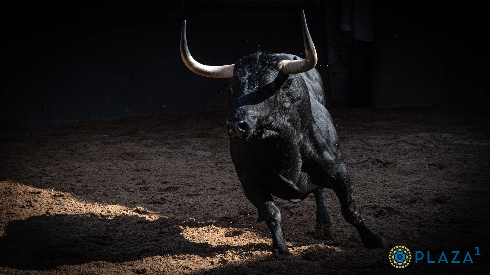 Leña y cuajo en los de Toros de El Torero para la confirmación de Rafa Serna en el Día de la Virgen de la Paloma