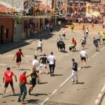 Celebración del "Toro del verdejo"
