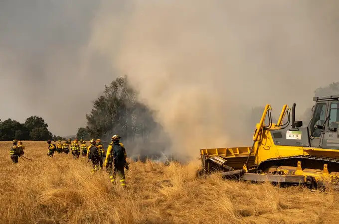 Desciende a nivel uno el incendio de Molezuelas de la Carballeda que calcinó en torno a 31.500 hectáreas en León y Zamora Desciende a nivel uno el incendio de Molezuelas de la Carballeda que calcinó en torno a 31.500 hectáreas en León y Zamora