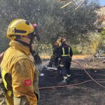 Sucesos.- Controlado un incendio en San Martín de Valdeiglesias (Madrid) frenando su propagación a una zona industrial