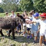 El Kiriko, un campamento de toda la vida