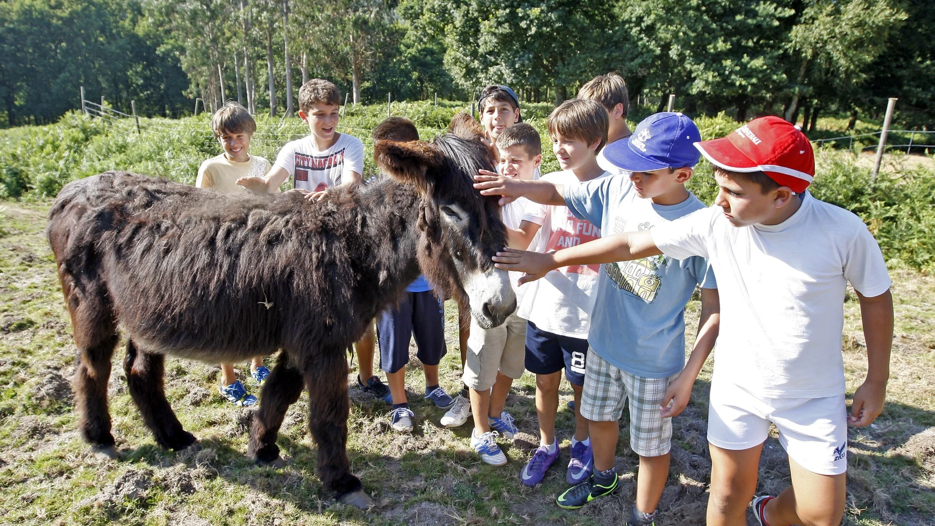 El Kiriko, un campamento de toda la vida