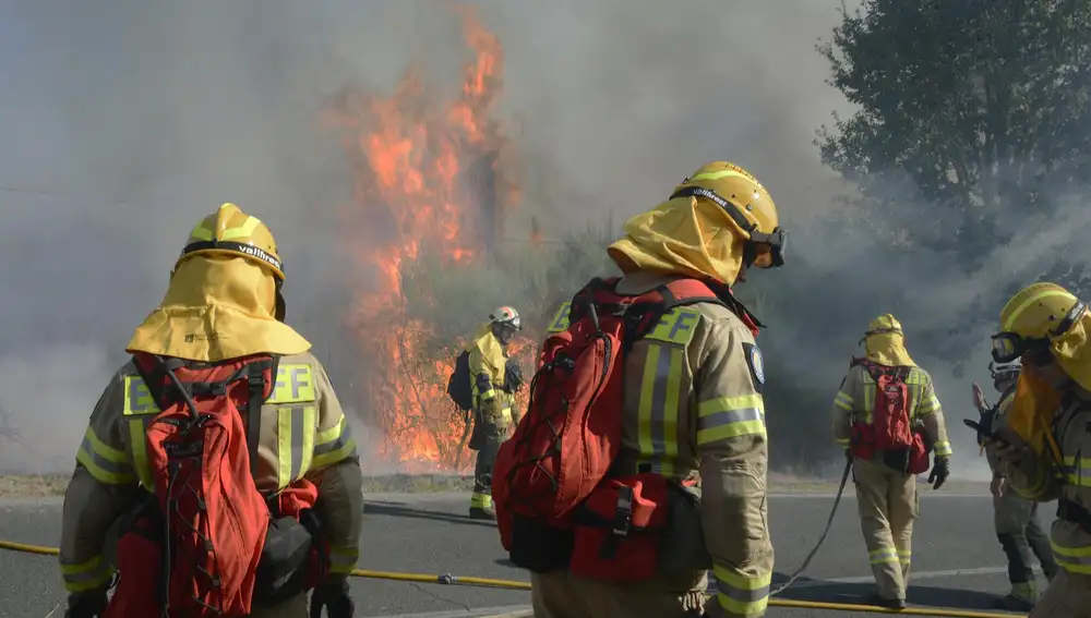 Hasta 19 incendios activos requieren la ayuda del Estado, a la que se sumarán dos aviones italianos
