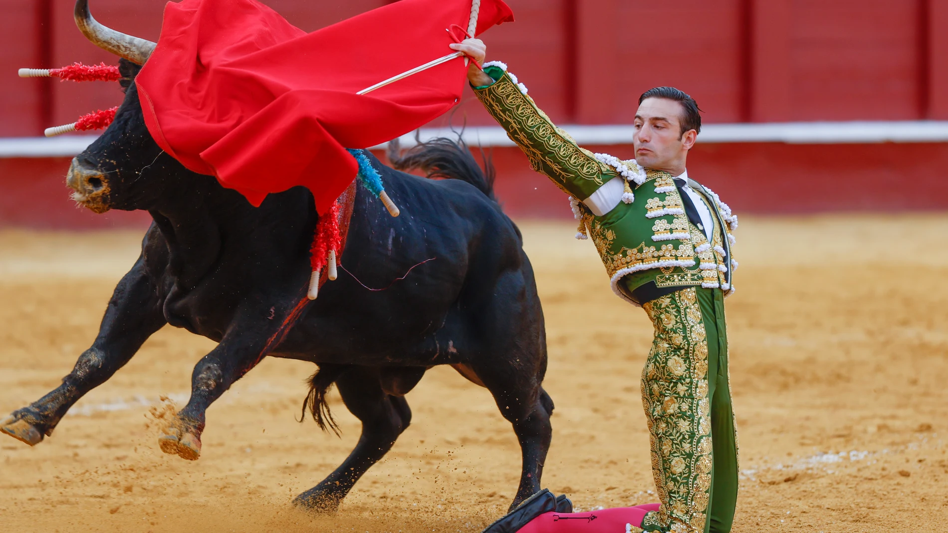 MÁLAGA (ANDALUCÍA), 16/08/2025.- El diestro Molina con su primer toro durante el segundo festejo taurino de la Feria de Málaga celebrado hoy sábado en la plaza de toros de la Malagueta. EFE/ Jorge Zapata
