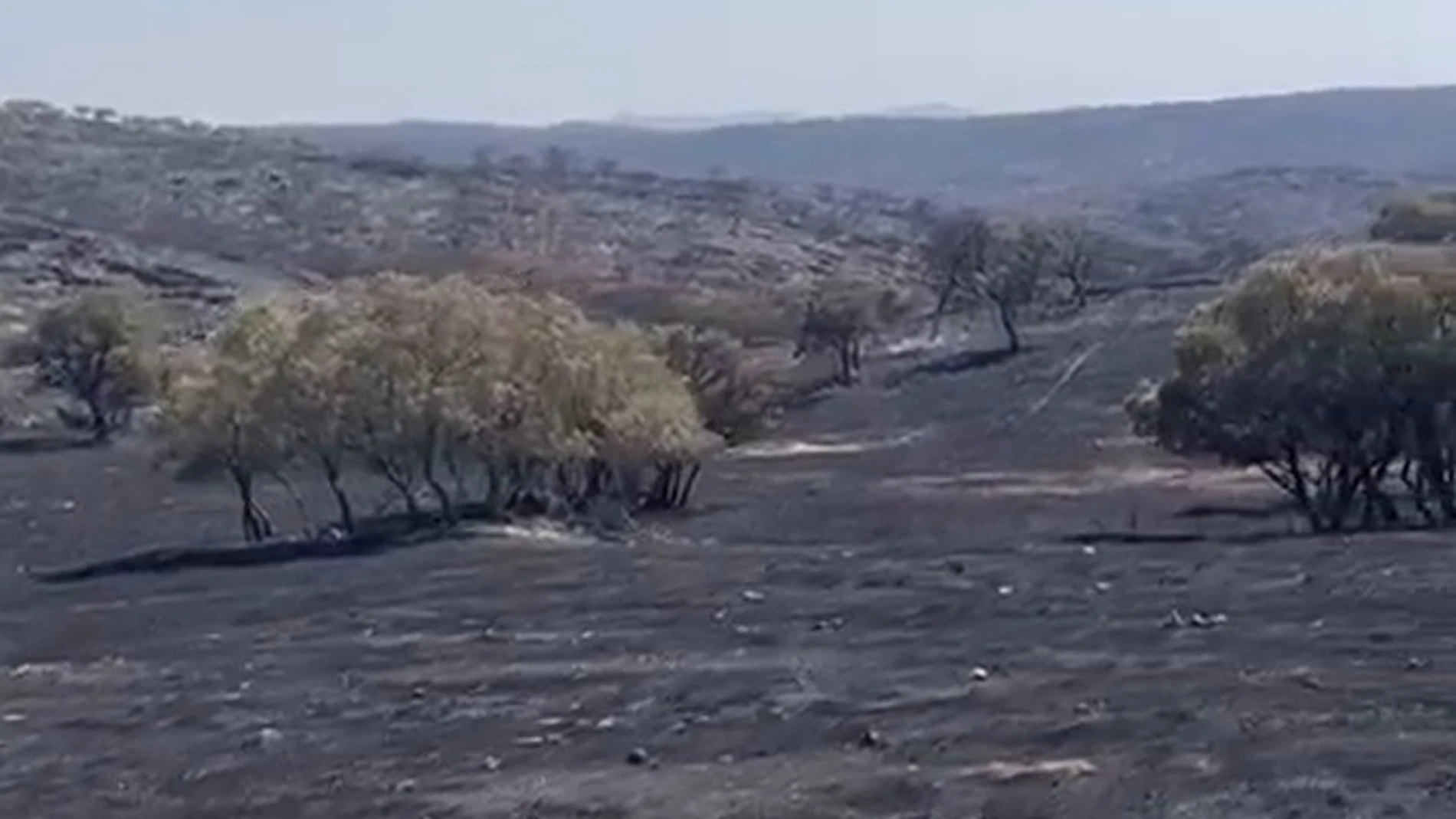 Jandilla calcinada: 80 % de la finca "Los Quintos" arrasada por voraces incendios