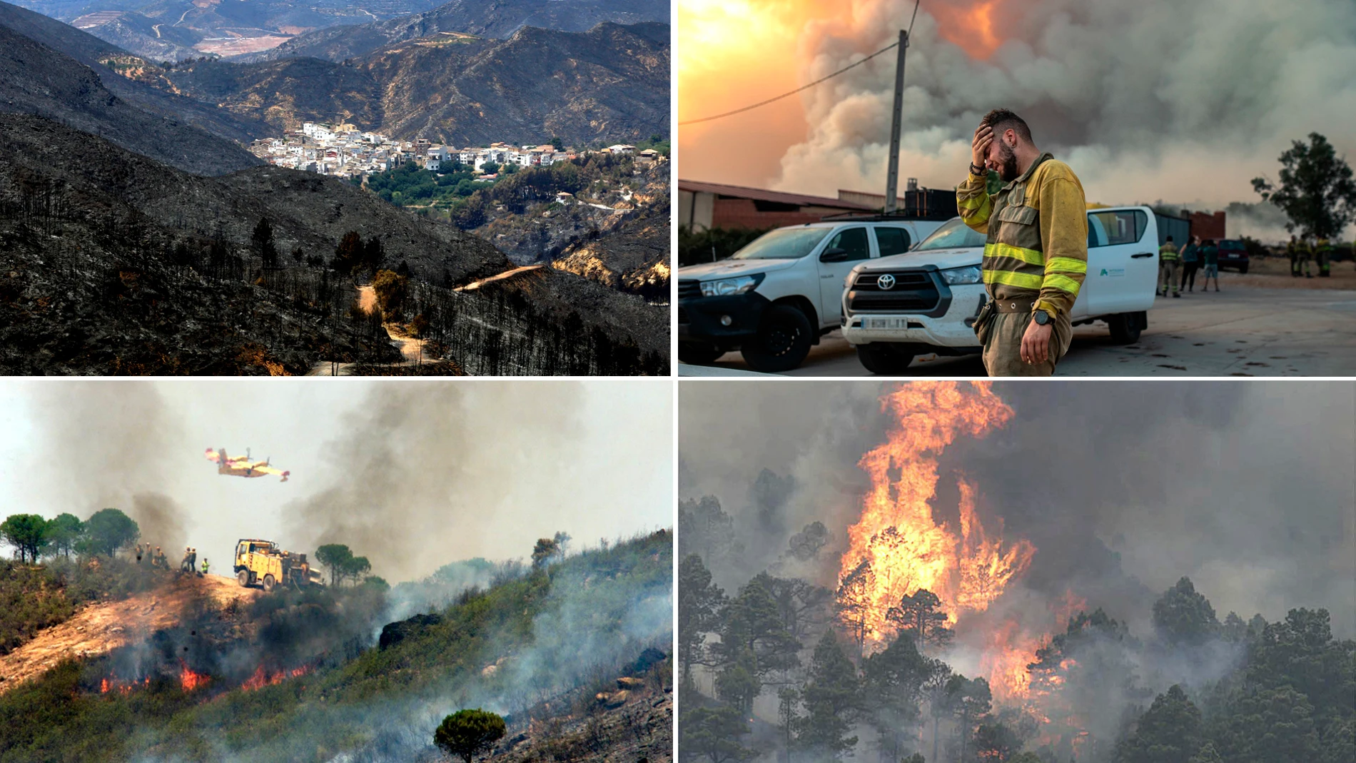 Combo de otros incendios en España, Andilla, Losacio, Riotinto y Realejos