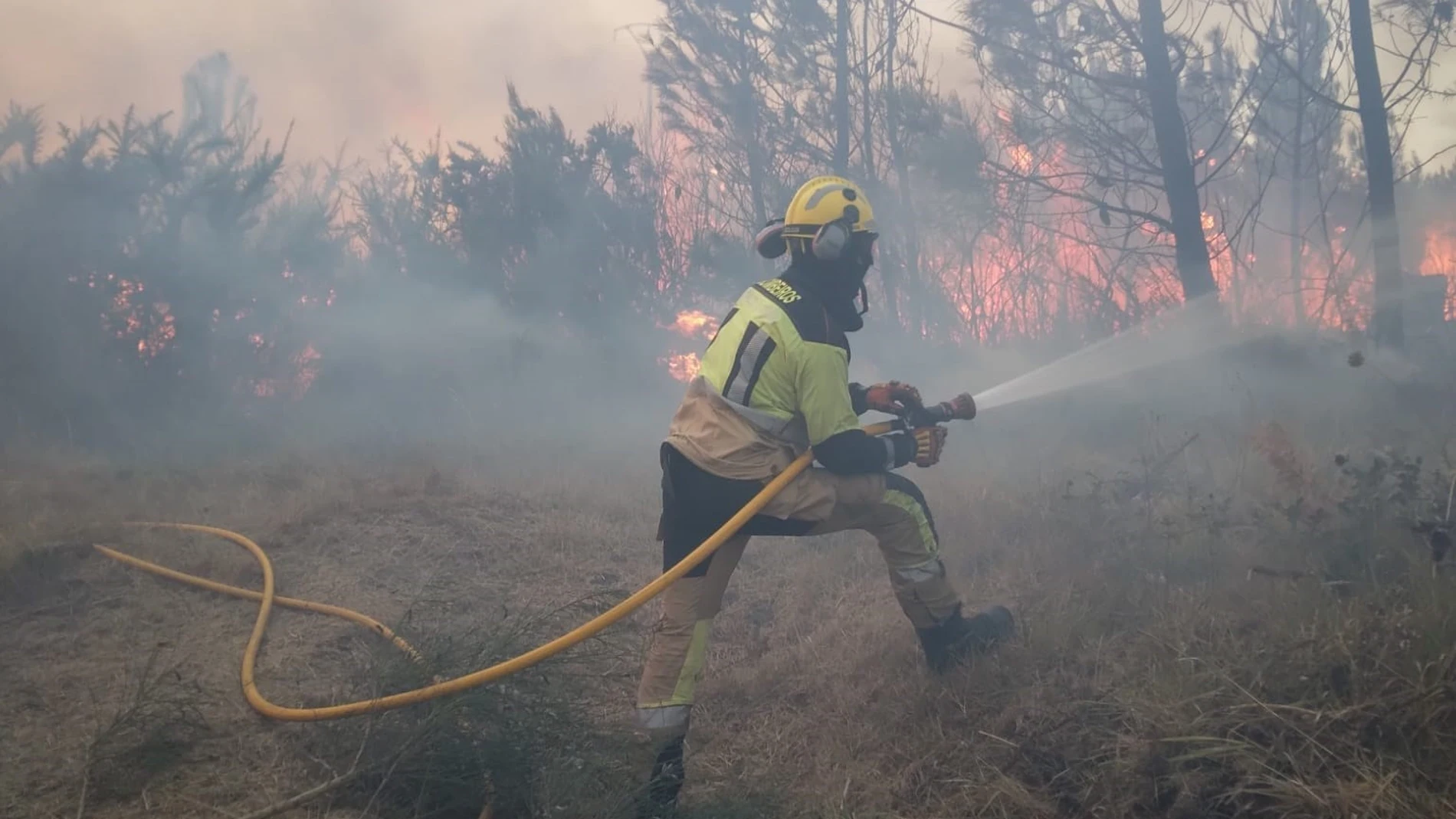 Bombero del Consorcio Provincial Contraincendios de A Coruña, coopera en labores de extinción de incendios en la provincia de Ourense.REMITIDA / HANDOUT por DIPUTACIÓN DE A CORUÑAFotografía remitida a medios de comunicación exclusivamente para ilustrar la noticia a la que hace referencia la imagen, y citando la procedencia de la imagen en la firma18/08/2025