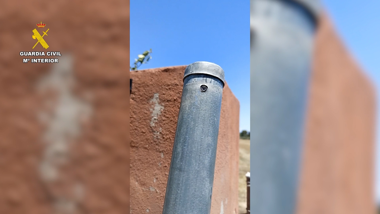 Desmantelada una sofisticada plantación de marihuana con sistemas de vigilancia ocultos en los canalones