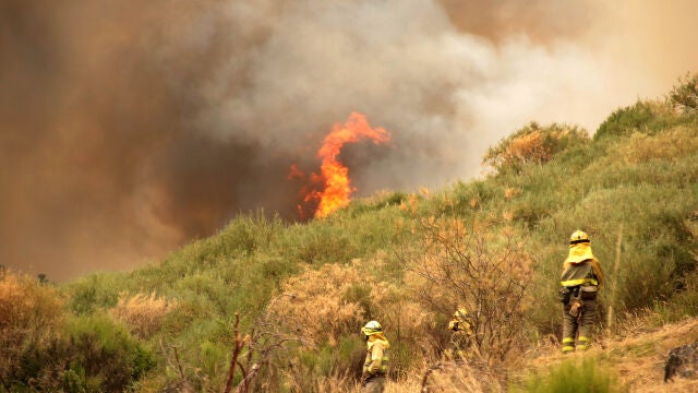 Lucha contra los incendios en Castilla y León