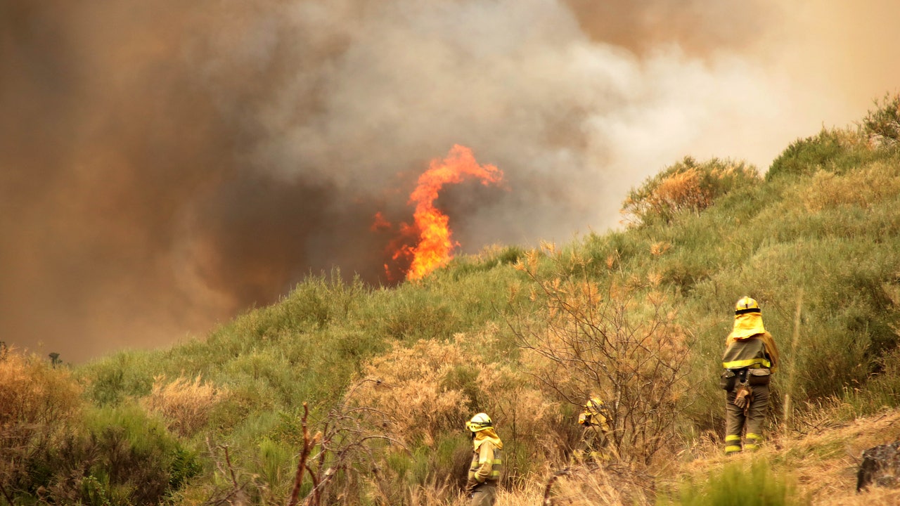 ATA exige al Gobierno que articule ayudas inmediatas para los autónomos y empresas afectados por los incendios