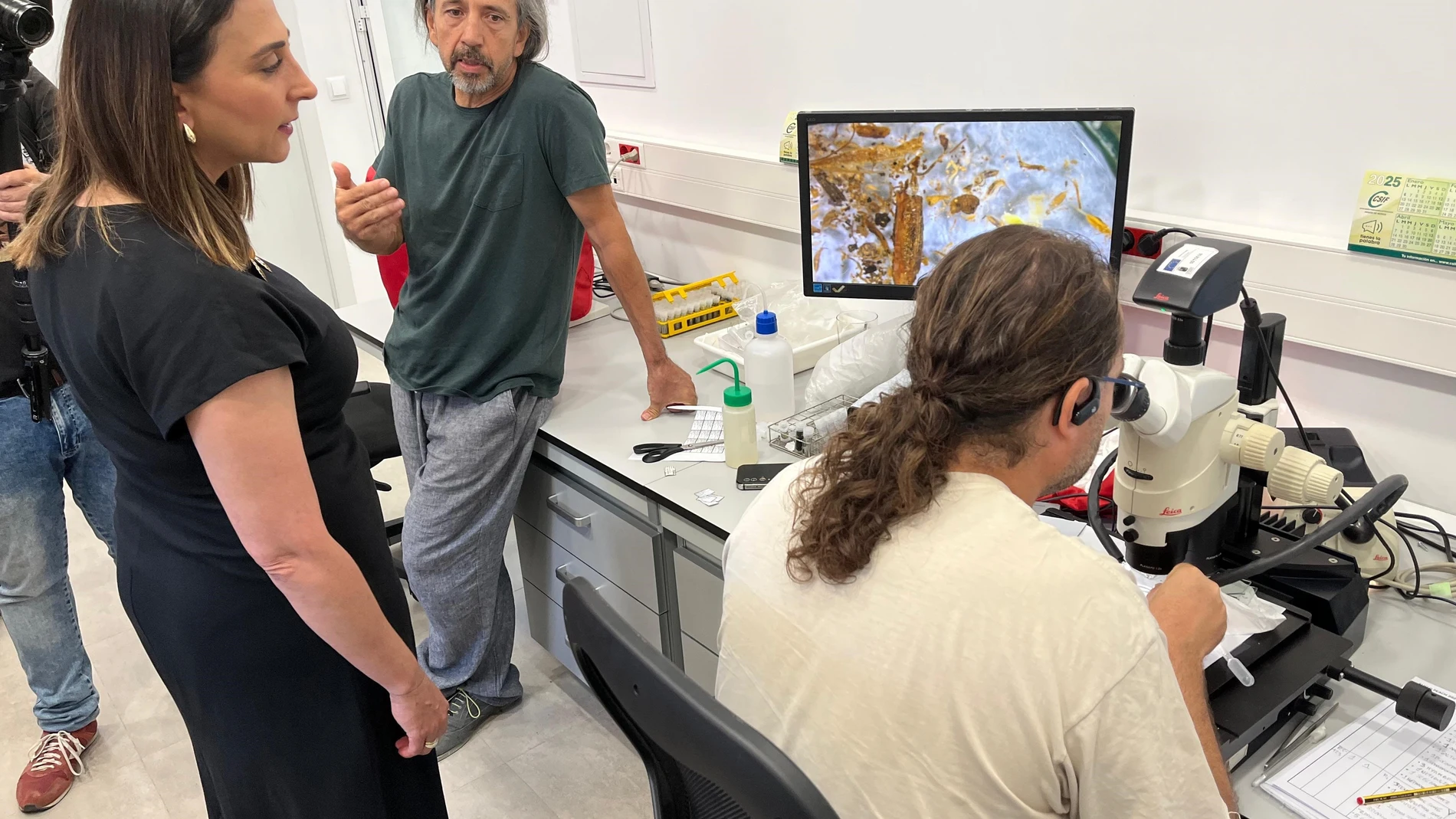 Imagen de la consejera Sara Rubira en el laboratorio del IMIDA en el que se investigan técnicas para combatir el trips exótico que afecta el pimiento en invernadero Carme Ripollés / Europa Press 18/08/2025