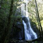 Seimeira de Vilagocende (Lugo)