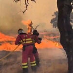 Avance del incendio forestal de Jarilla (Cáceres)