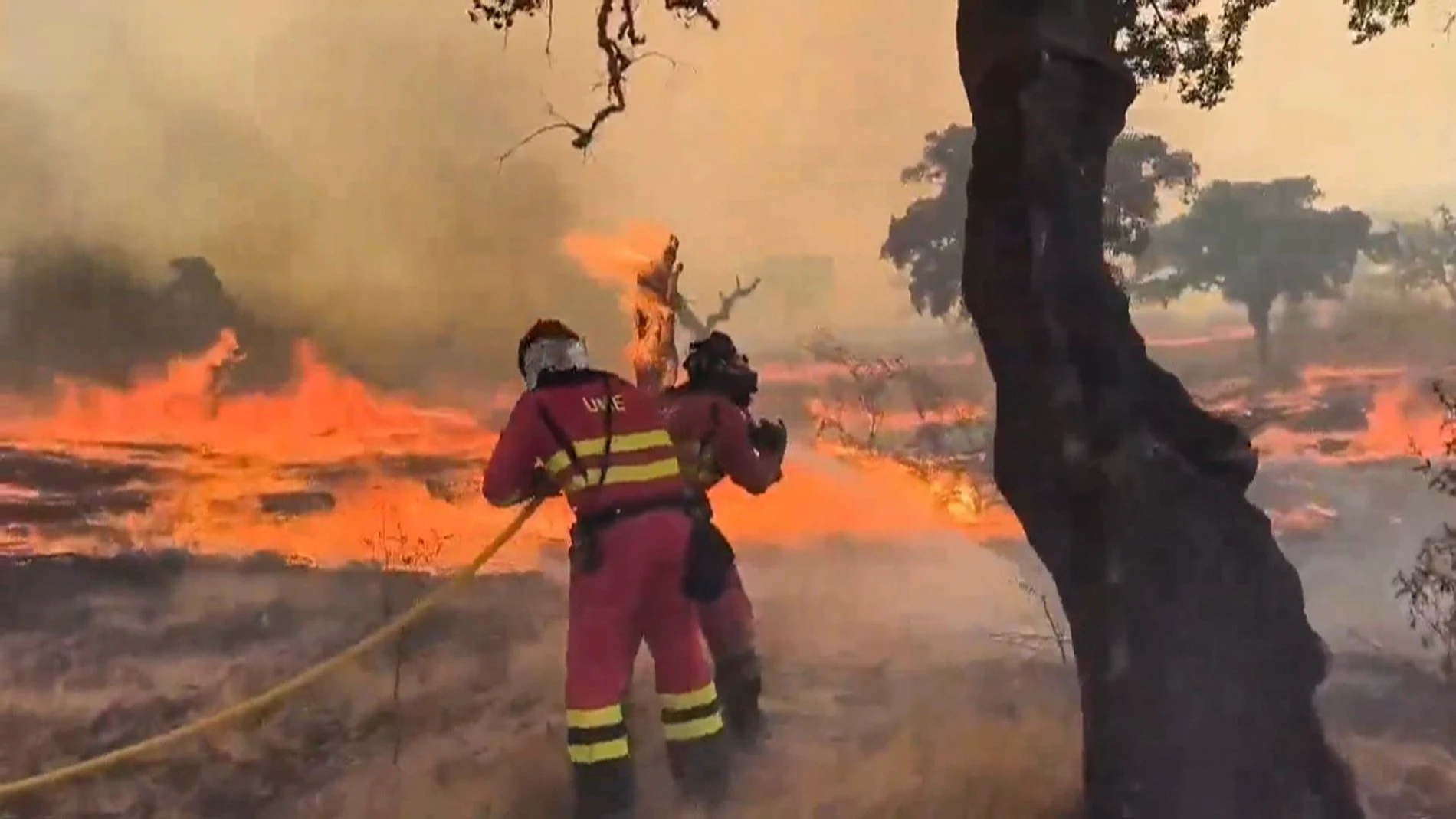 ALISEDA (CÁCERES), 18/08/2025.- Imagen de vídeo de la UME que muestra el avance del incendio forestal de Jarilla (Cáceres), que tiene un perímetro de 130 kilómetros, y que ha obligado a evacuar durante esta madrugada varias casas diseminadas en el Valle del Jerte. EFE/UME *****SOLO USO EDITORIAL/SOLO DISPONIBLE PARA ILUSTRAR LA NOTICIA QUE ACOMPAÑA (CRÉDITO OBLIGATORIO) *****