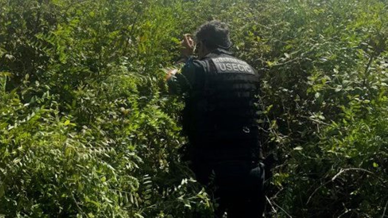 Rescatado tras lanzarse al Guadalquivir en busca de su embarcación teledirigida