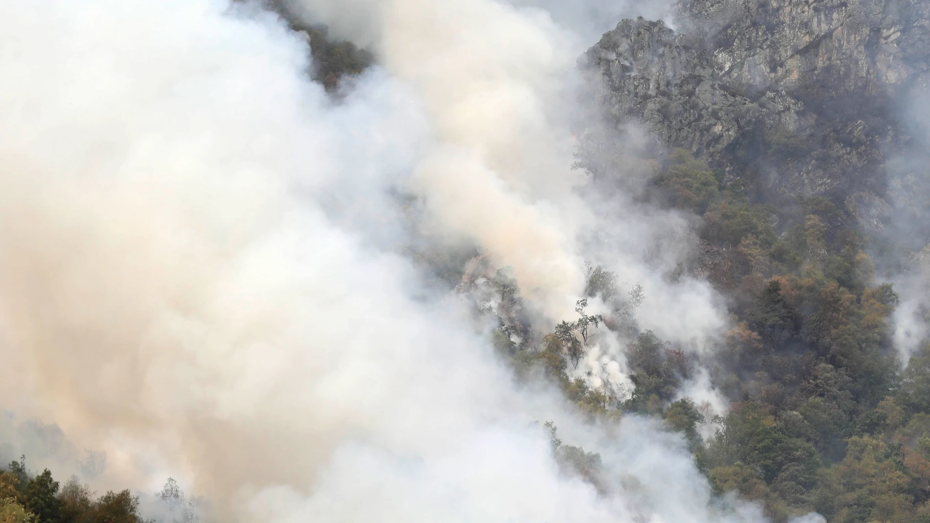 VILLAR DE VILDAS (ASTURIAS), 18/08/2025.- Incendio este lunes en las inmediaciones de Caunedo, en el parque Natural de Somiedo. El cambio de las condiciones meteorológicas, con la entrada de viento norte, una mayor humedad y una notable bajada de las temperaturas, está ayudando a controlar los incendios declarados en los últimos días Asturias, donde hoy se mantienen activos ocho fuegos, en su mayoría en la comarca suroccidental y los Picos de Europa. EFE/J.L. Cereijido