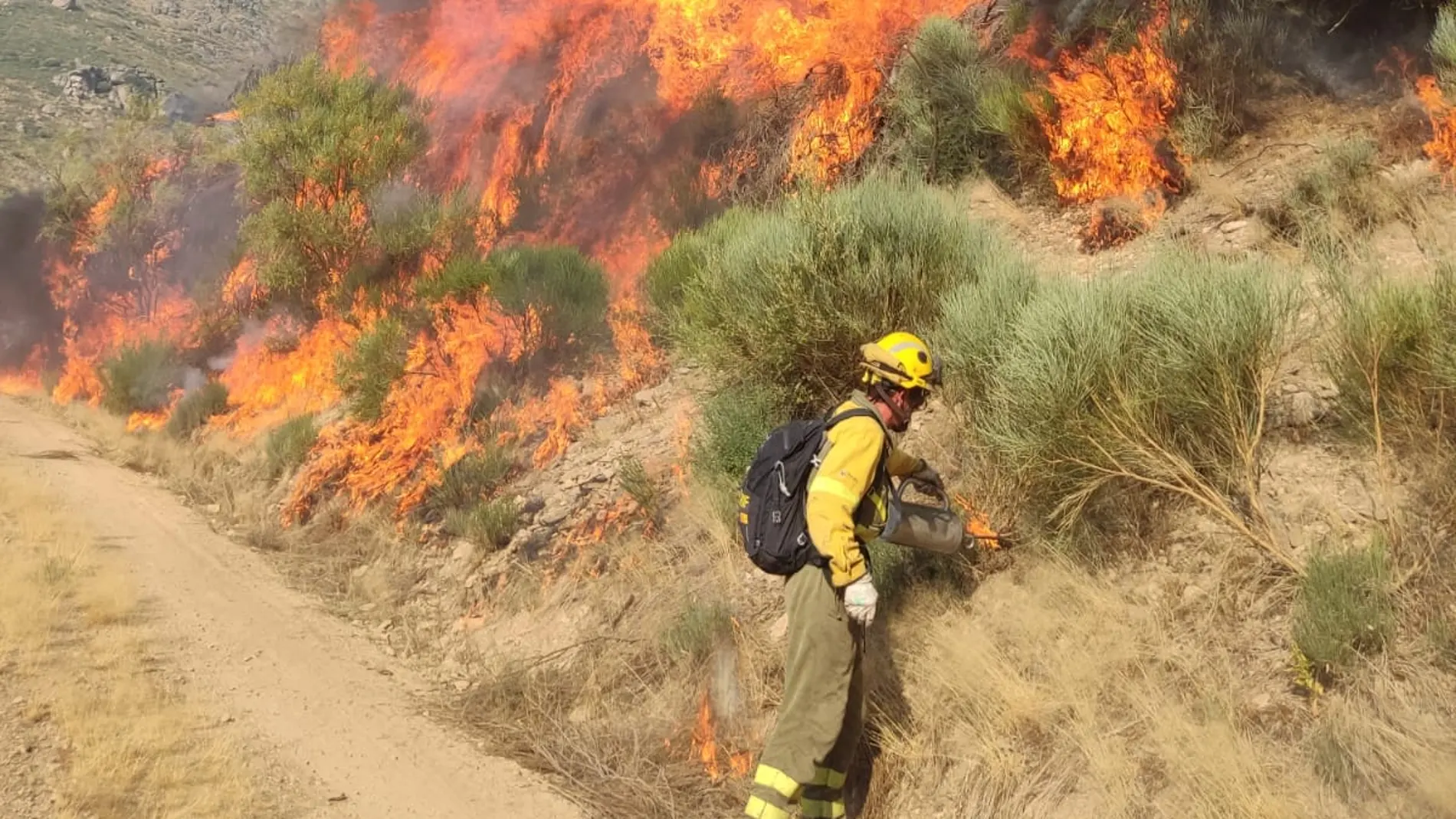 El incendio de Jarilla (Cáceres) entra ya en Castilla y León por Candelario (Salamanca)