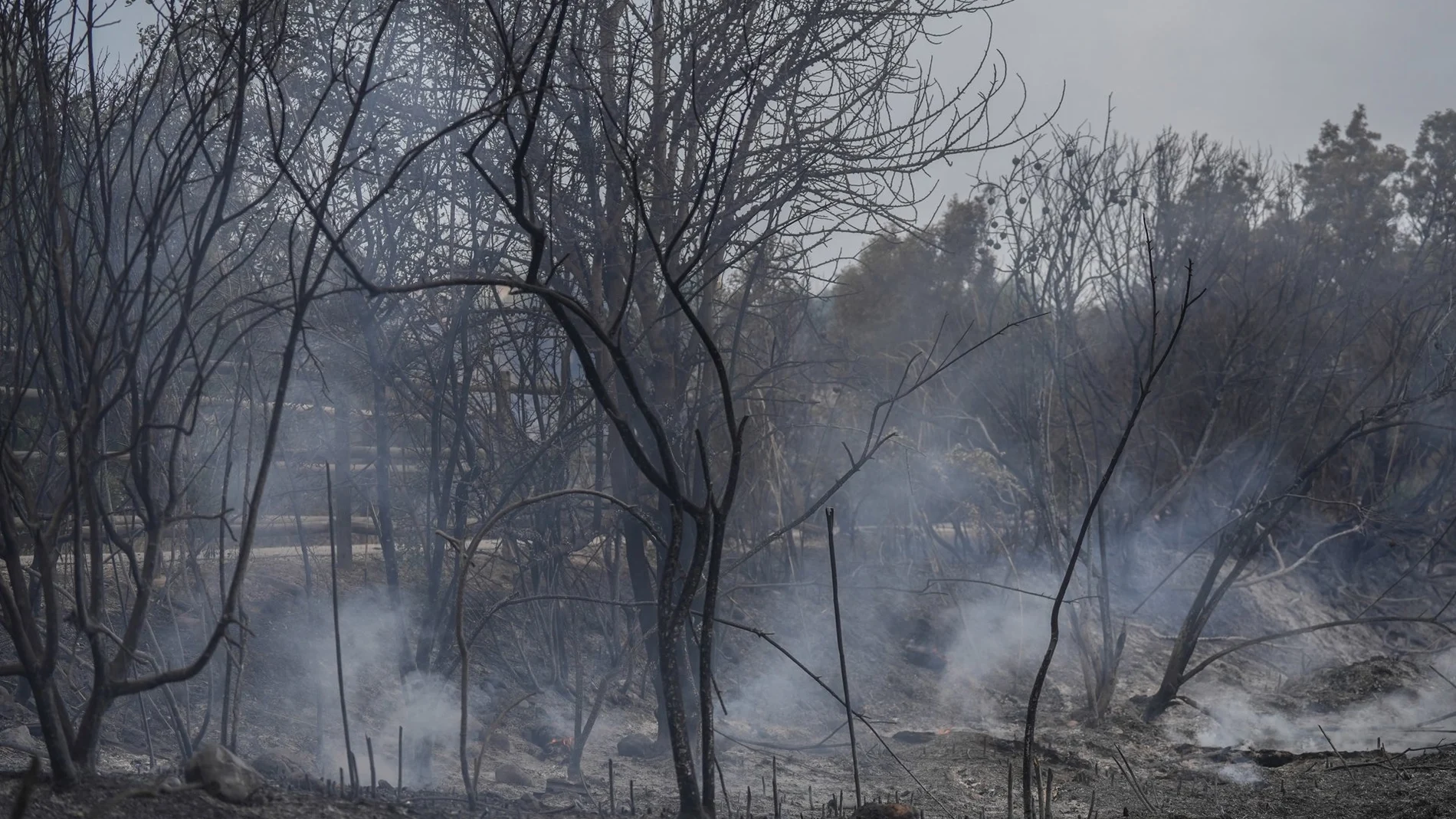 Cataluña sale de la alerta máxima por riesgo de incendios y reabre espacios naturales