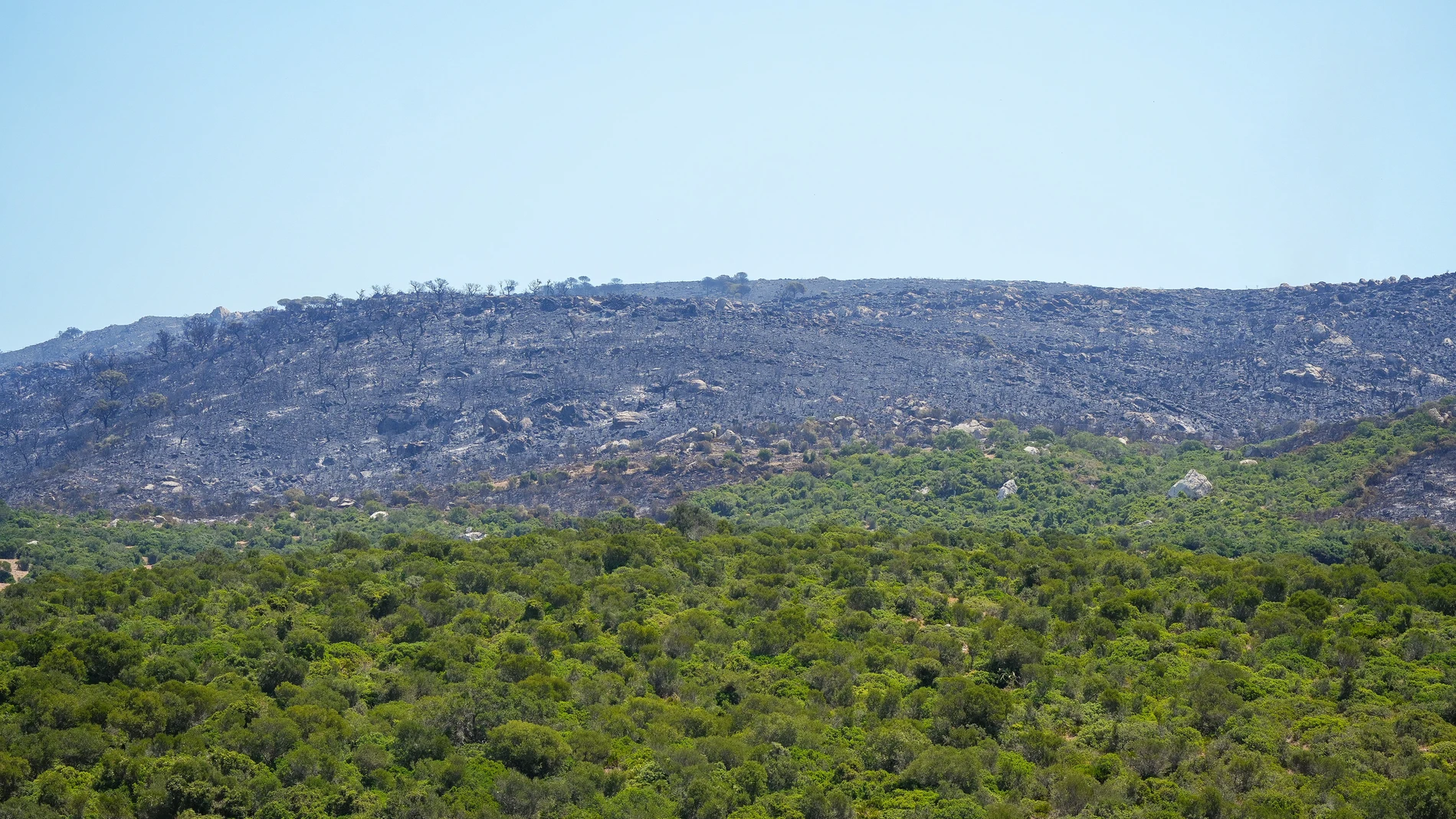 La despoblación, un fenómeno que avanza de manera rápida, es un factor que agrava la proliferación de incendios forestales
