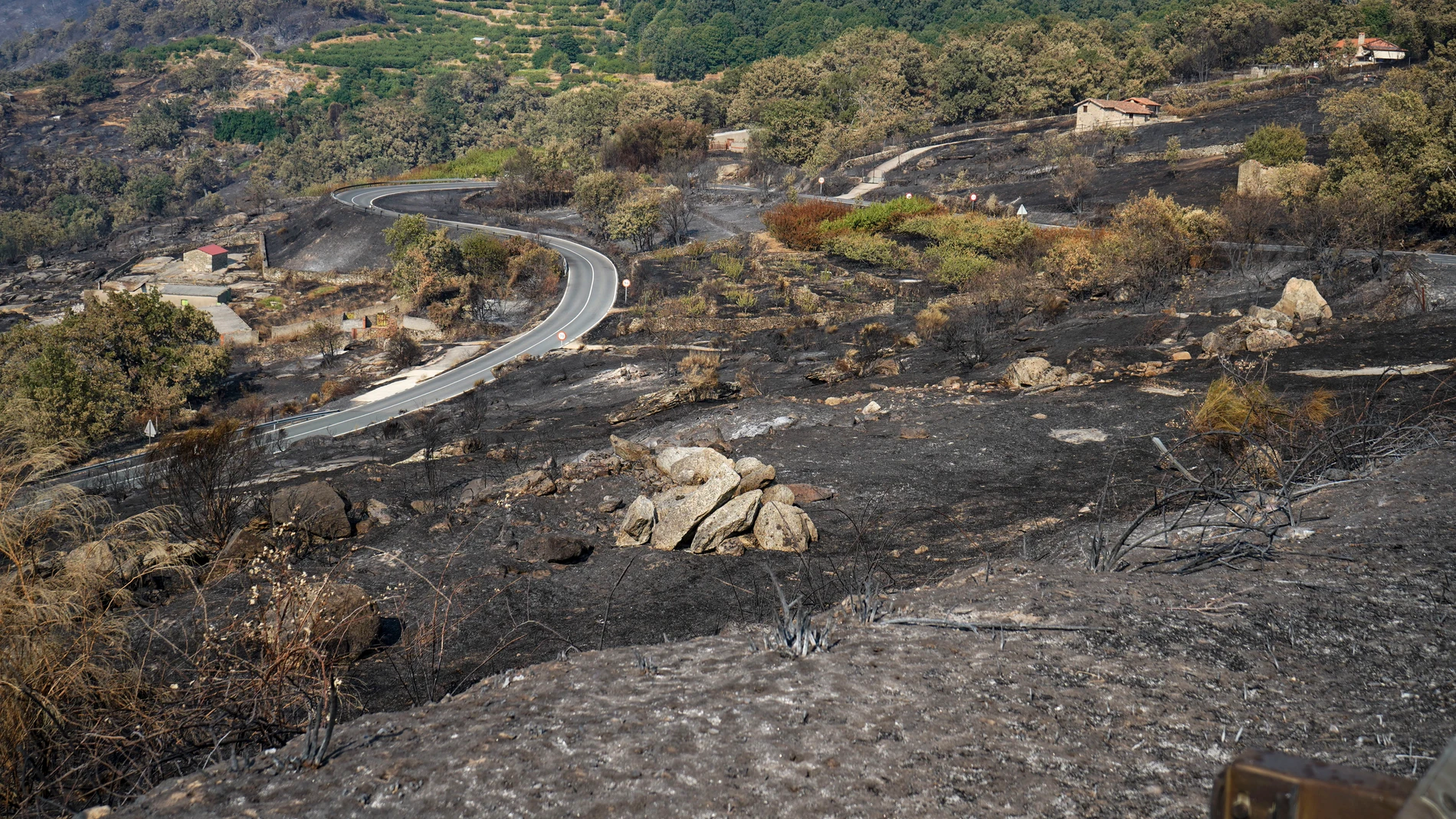 CABEZABELLOSA (CÁCERES), 20/08/2025.- Áreas calcinadas en la localidad cacereña de Cabezabellos por el incendio de Jarilla (Cáceres), cuyo avance se ha logrado contener pues en los dos últimos días ha ido quemando "de 500 en 500 hectáreas", mucho menos que en jornadas anteriores, pero hoy el viento vuelve a complicar las tareas de extinción. EFE/EDUARDO PALOMO