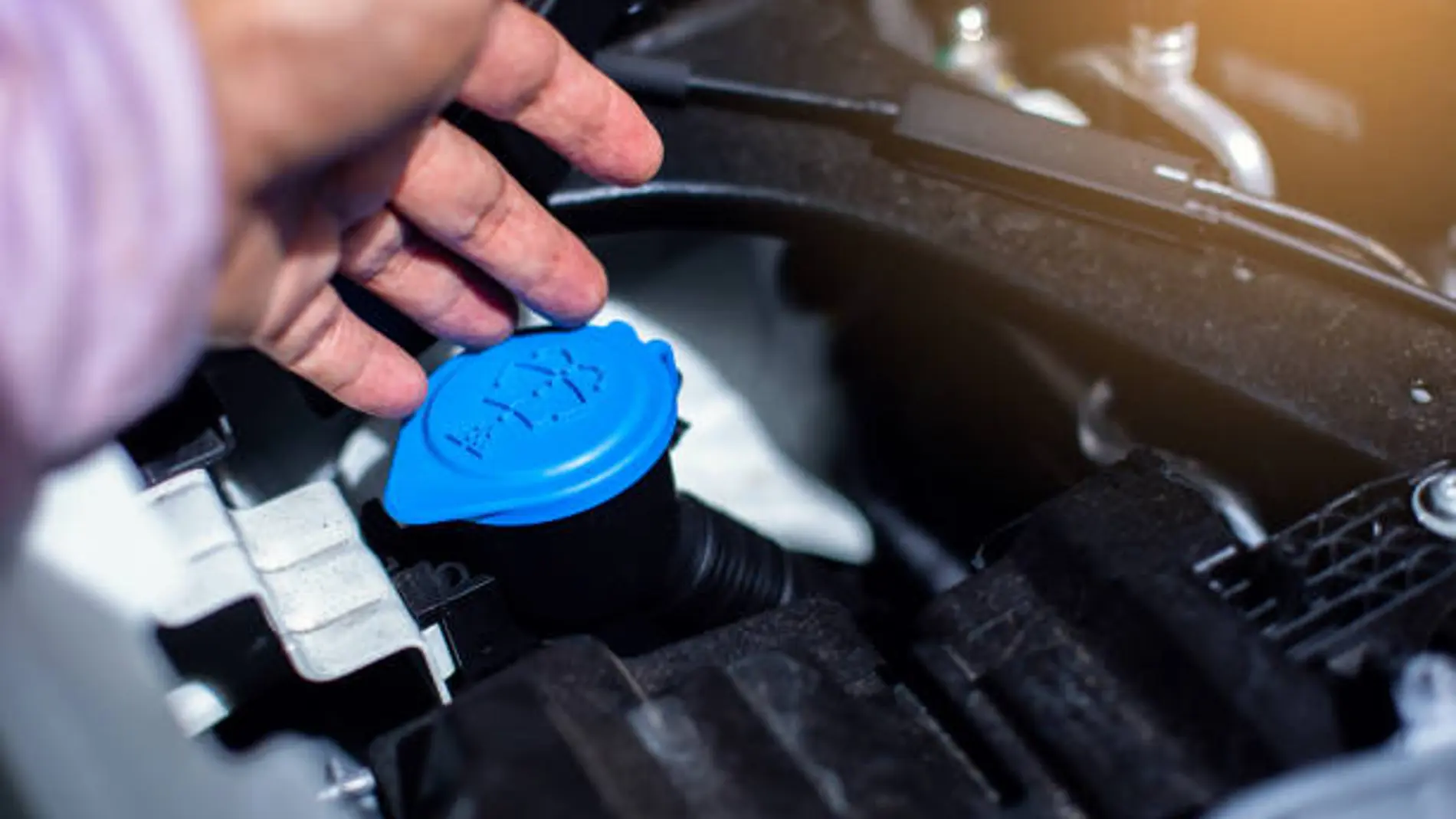 Por qué no debo echar agua en los guardabarros de mi coche: los expertos dan la respuesta
