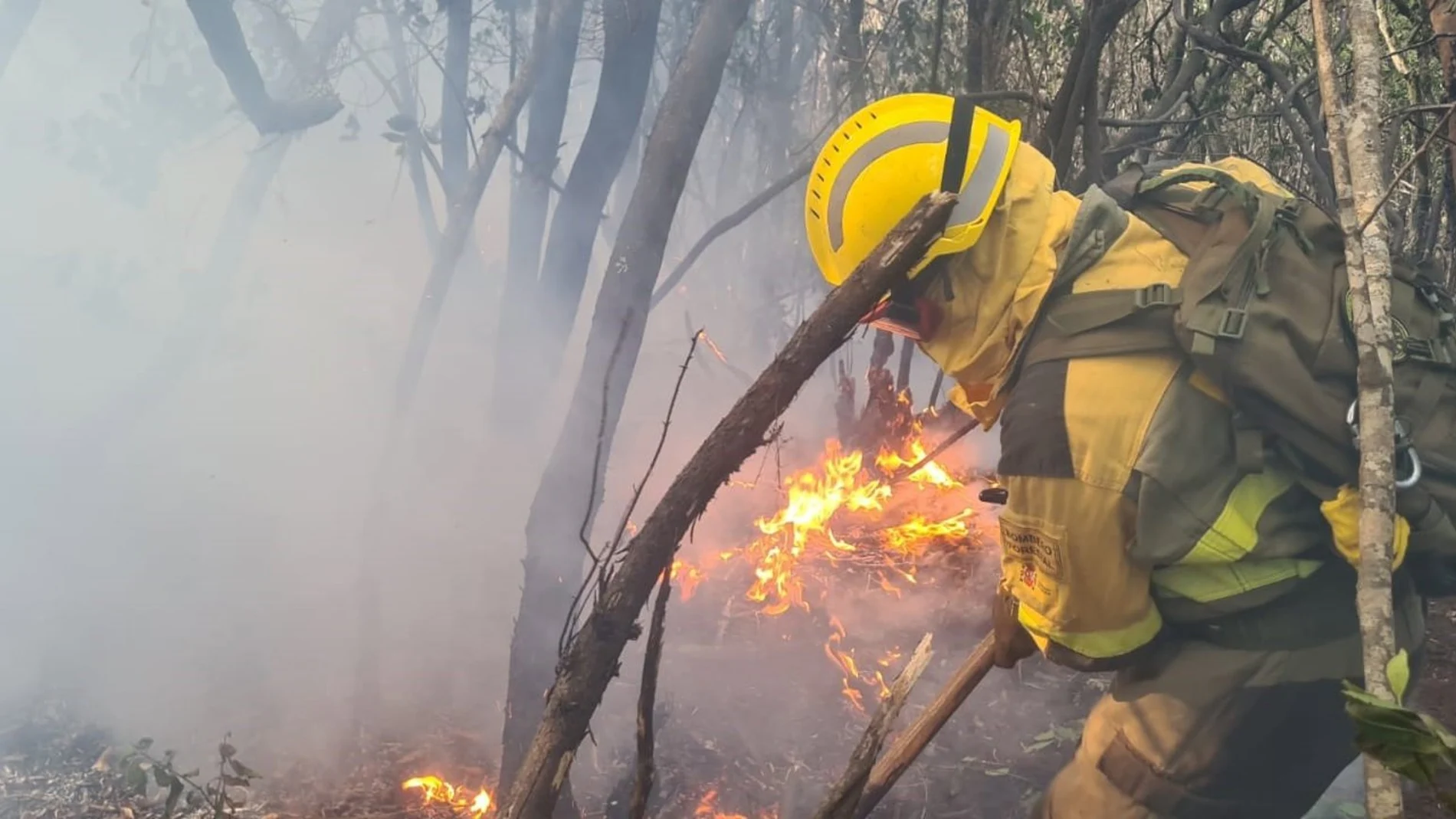 Bomberos de la BRIF trabajan en un incendio
