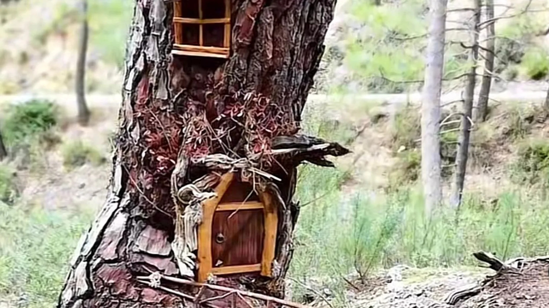 La Senda Encantada en Villaverde de Guadalimar (Albacete).