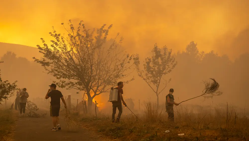 Héroes anónimos en la batalla contra los megaincendios de Galicia