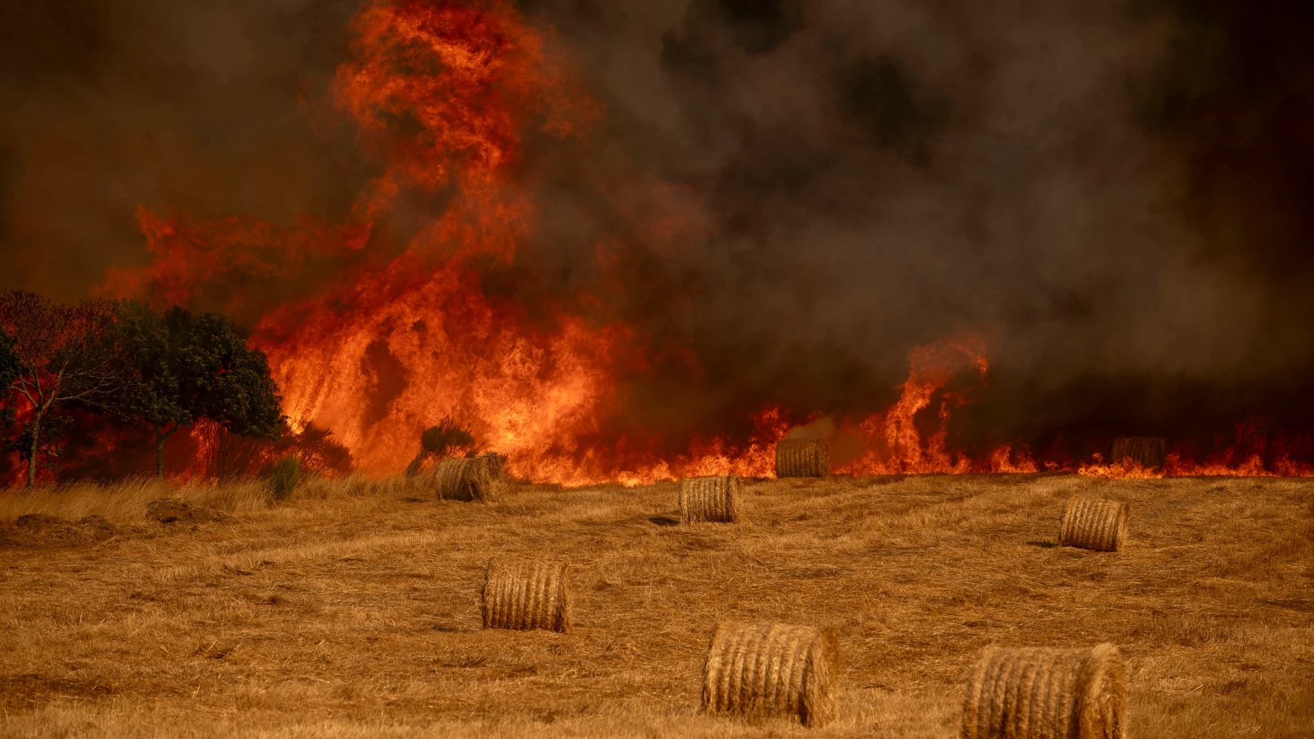 Vista del nuevo incendio declarado este miércoles en A Gudiña (Orense) EFE / Brais Lorenzo