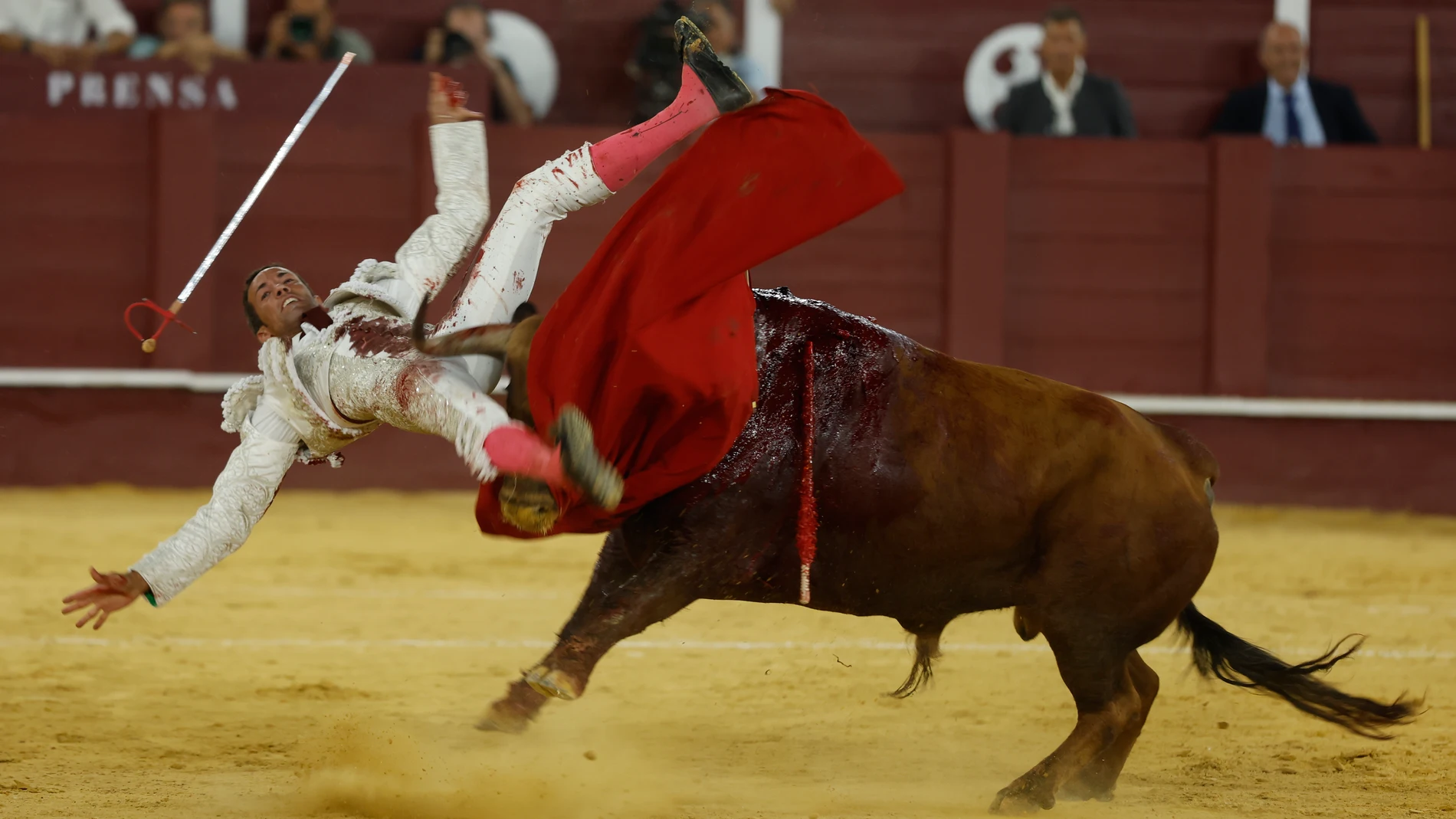 FOTODELDÍA GRAF345. MÁLAGA (ESPAÑA), 19/08/2025.- El diestro David de Miranda con su segundo astado en el festejo de la Feria de Málaga celebrado este martes, en la plaza de La Malagueta. EFE/Jorge Zapata