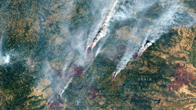 España se acerca a las 400.000 hectáreas arrasadas por el fuego en lo que va de 2025