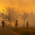 Incendios forestales en España, en directo hoy: última hora en Castilla y León, Galicia y Extremadura