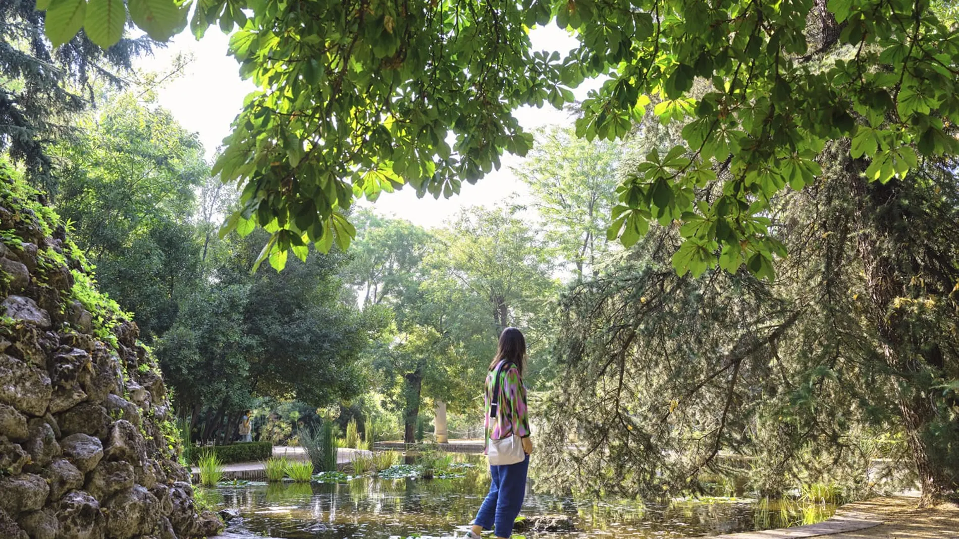 Las rutas parten de la finca de Vista Alegre