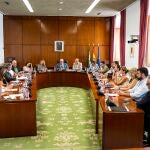 El Parlamento debate este viernes si convoca pleno extraordinario sobre los incendios de Tarifa y la Mezquita de Córdoba