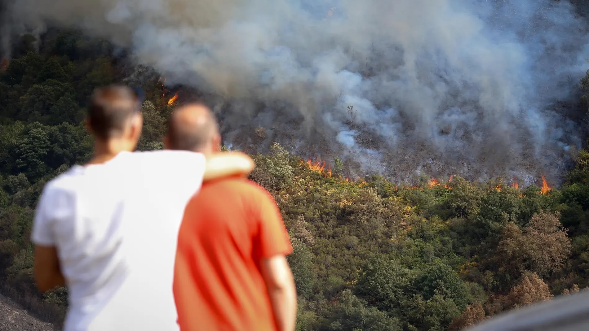El Teléfono de la Esperanza activa su Programa de Atención Psicológica ante Catástrofes debido a los incendios en España