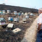 Galicia facilitará a apicultores afectados por incendios el acceso gratuito a parcelas del Banco de Tierras