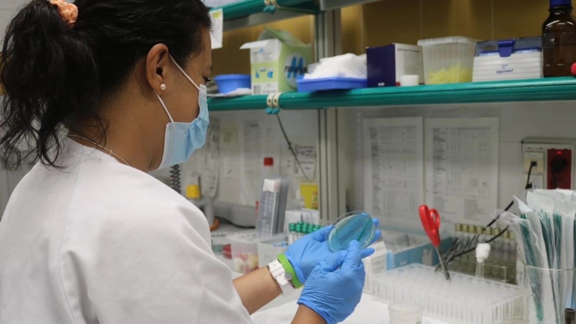 La Consejería de Sanidad investiga un brote de toxiinfección alimentaria por salmonella en Gran CanariaREMITIDA / HANDOUT por CEDIDO POR CONSEJERÍA DE SANIDADFotografía remitida a medios de comunicación exclusivamente para ilustrar la noticia a la que hace referencia la imagen, y citando la procedencia de la imagen en la firma21/08/2025