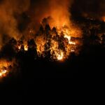 AMP.- La Fiscalía investiga si los municipios más afectados por los incendios cuentan con planes de prevención