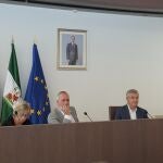 Pleno del Ayuntamiento de Estepona