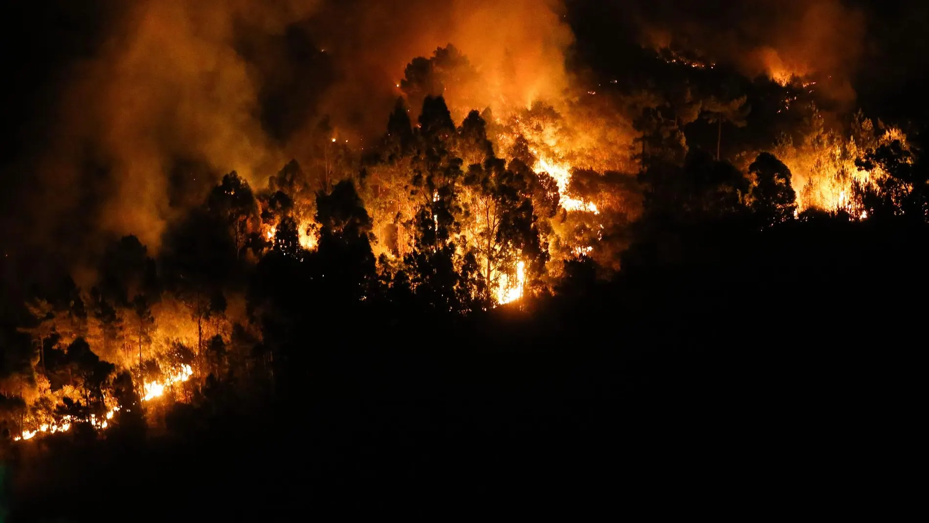 La Fiscalía investiga si los municipios más afectados por los incendios cuentan con planes de prevención