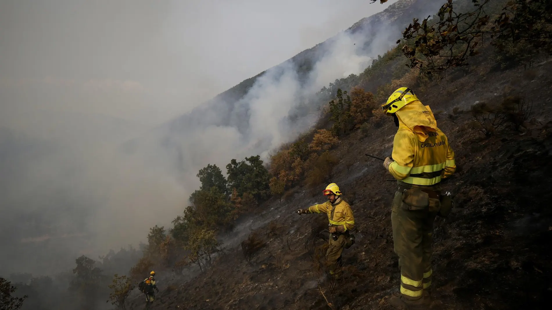Incendios forestales en España, en directo hoy: focos activos y última hora en Castilla y León, Galicia y Extremadura