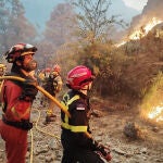 Incendio forestal de Porto (Zamora)