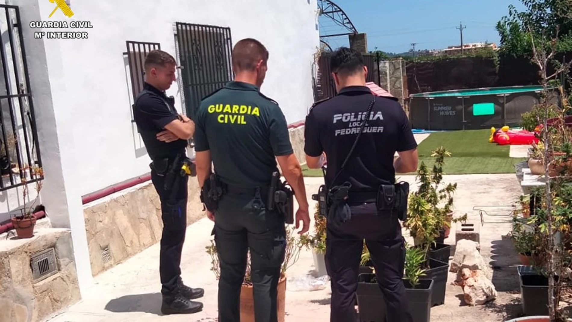 Aduce que cultiva romero y lavanda cuando la Guardia Civil le pregunta por el intenso olor a marihuana