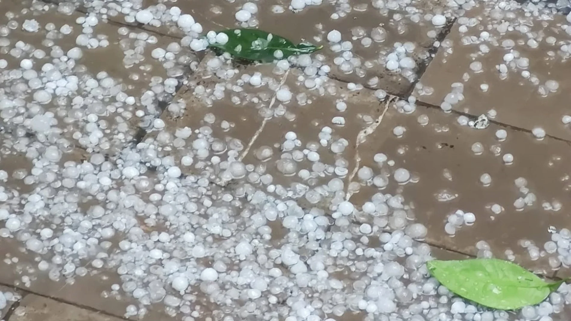 Una tormenta de granizo y fuertes vientos deja 30 l/m2 en pocos minutos en Ontinyent (Valencia)