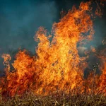 Incendios forestales en España, en directo hoy: focos activos y última hora en Castilla y León, Galicia y Extremadura