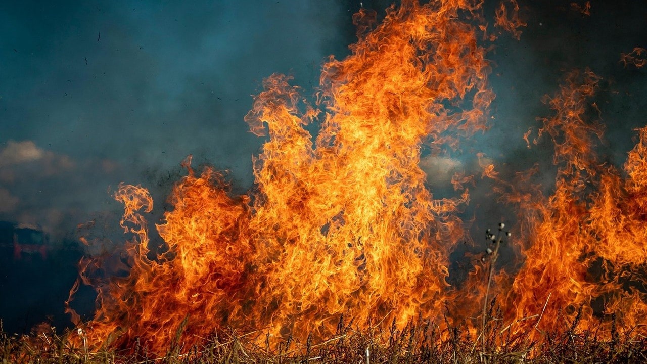 Incendios forestales en España, en directo hoy: focos activos y última hora en Castilla y León, Galicia y Extremadura