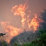 Incendios forestales en España, en directo hoy: focos activos y última hora en Castilla y León, Galicia y Extremadura