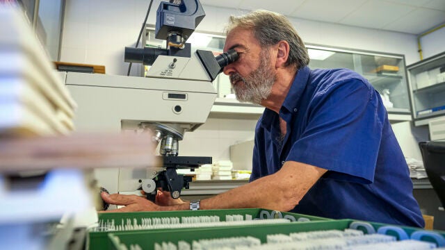  El neurocientífico Salvador Martínez, científico principal del estudio