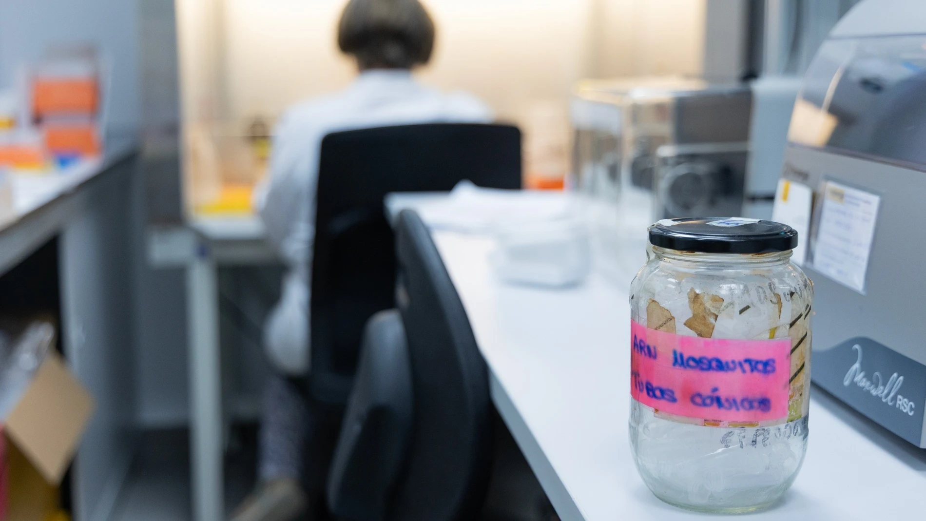 Imagen de una muestra en un laboratorio. REMITIDA / HANDOUT por Junta de Andalucía Fotografía remitida a medios de comunicación exclusivamente para ilustrar la noticia a la que hace referencia la imagen, y citando la procedencia de la imagen en la firma 22/08/2025