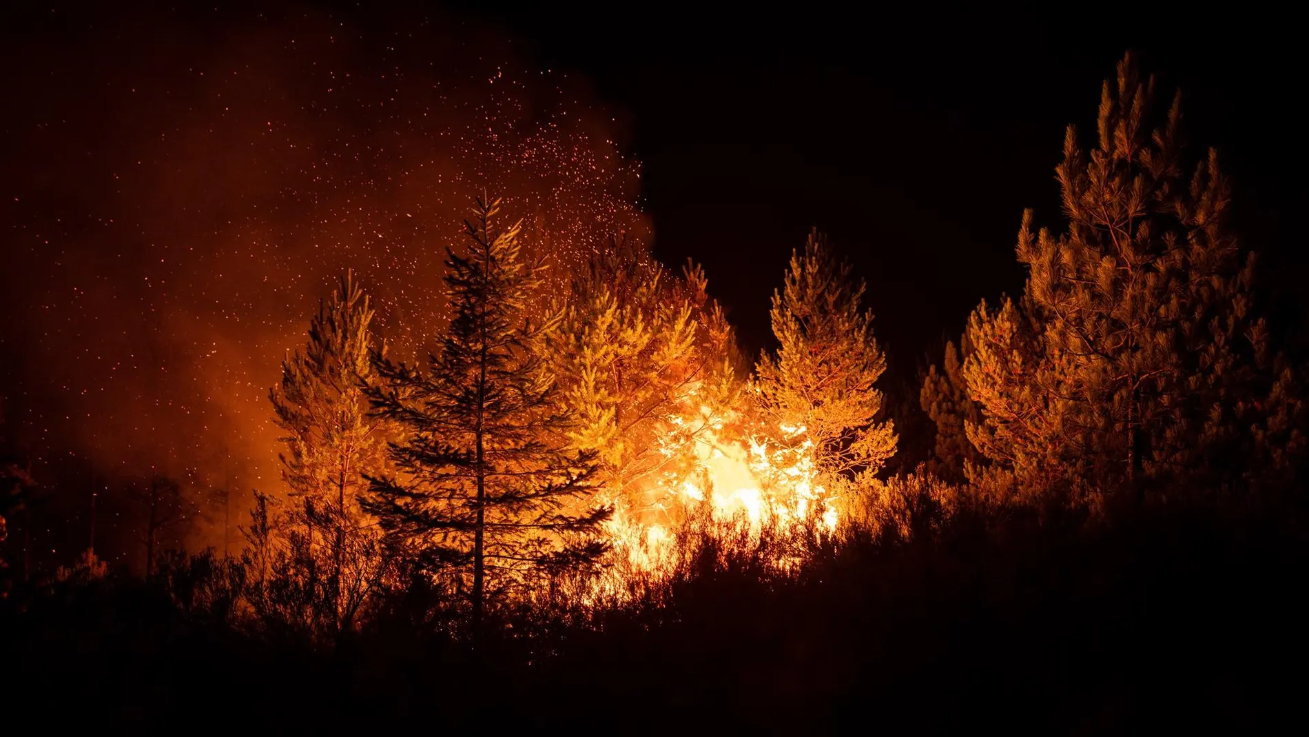 Incendio de gravedad en Moronta (Salamanca)